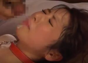 西宮ゆめの調教プレイ！リードに繋がれたまま顔射フィニッシュｗ